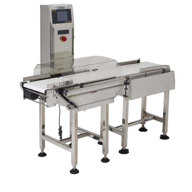 Check Weighing Systems for conveyors, Check Weighing Systems for conveyors India, Check Weighing Systems for conveyors Pune